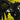 Trench: CD